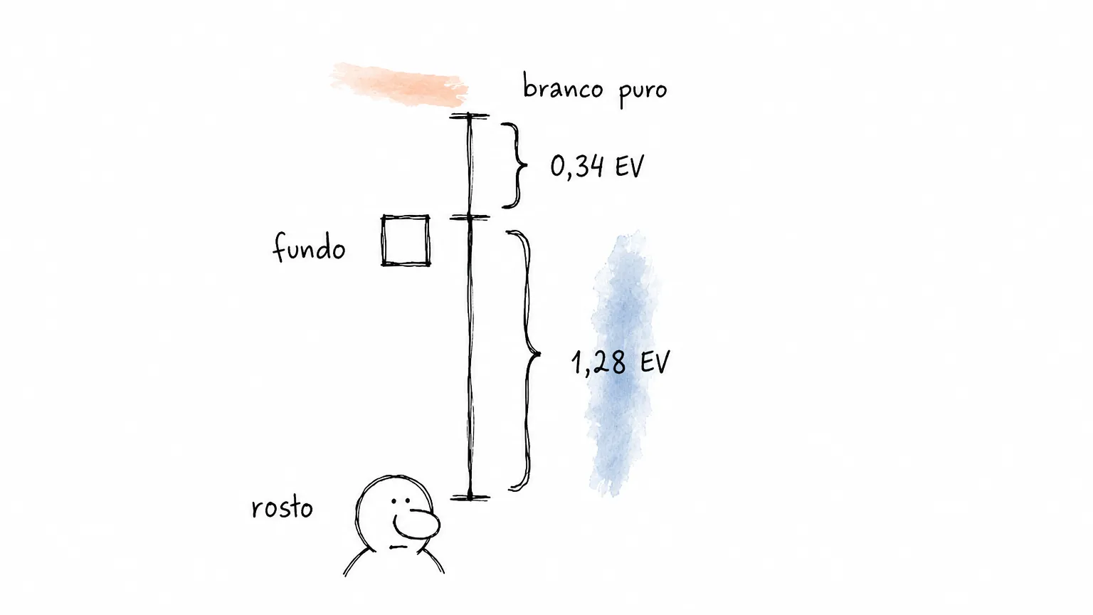 Escala de brilho de um retrato de fundo claro: só 0,34 EV de folga até o branco puro e 1,28 EV de distância até a marca do rosto.